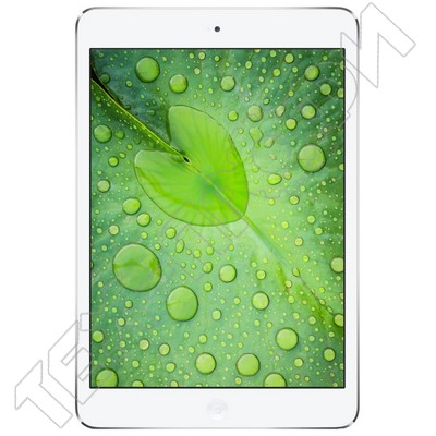  iPad Mini 2